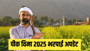 पीक विमा 2025 भरपाई अपडेट: डेटा दिला, हप्ता भरला तरी पैसे थांबले… नेमकं कारण काय?