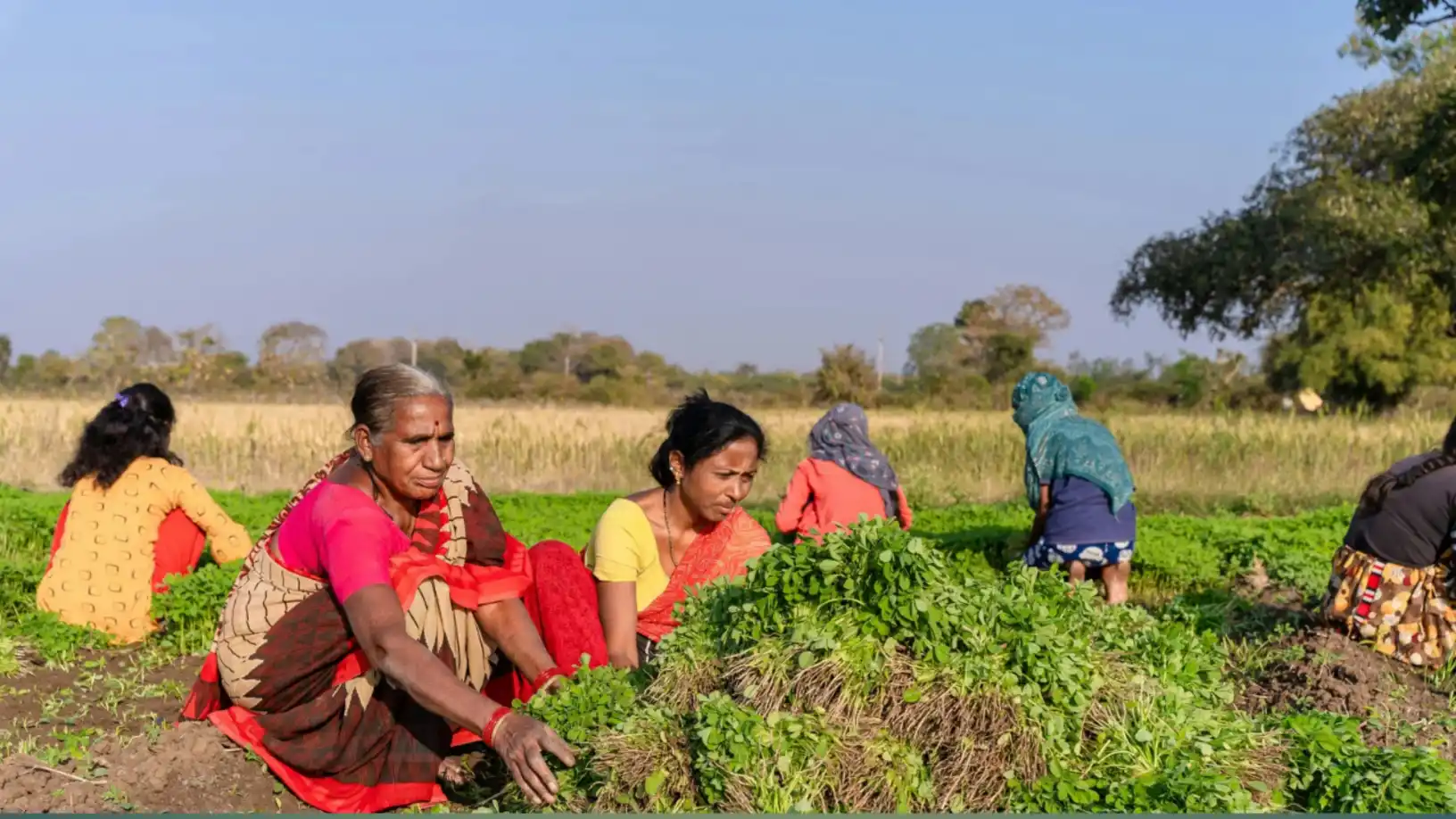 karjmafi 2026 maharashtra: जून 2026 पर्यंत निर्णयाची शक्यता? सरकारची तयारी सुरू