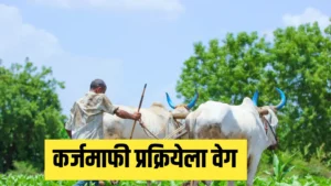 कर्जमाफीबाबत हालचालींना वेग | सरकारने जिल्हानिहाय कर्ज माहिती मागवली