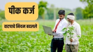 pik karj वाटपाचे नियम बदलले! ७/१२ वरील 'सामाईक' क्षेत्राबाबत जिल्हा बँकेचा मोठा निर्णय; शेतकऱ्यांसमोर नवे पेच?