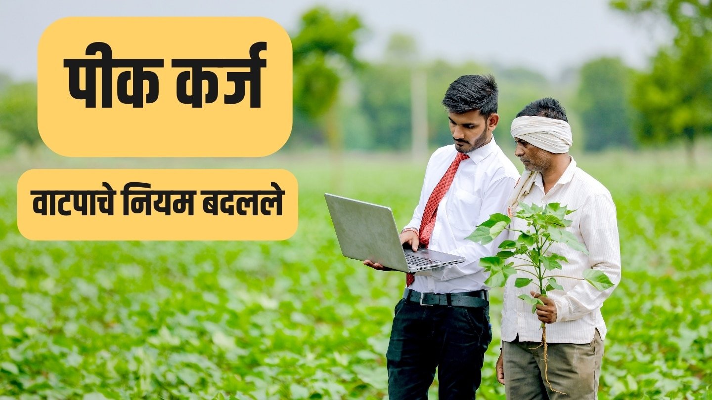 pik karj वाटपाचे नियम बदलले! ७/१२ वरील 'सामाईक' क्षेत्राबाबत जिल्हा बँकेचा मोठा निर्णय; शेतकऱ्यांसमोर नवे पेच?