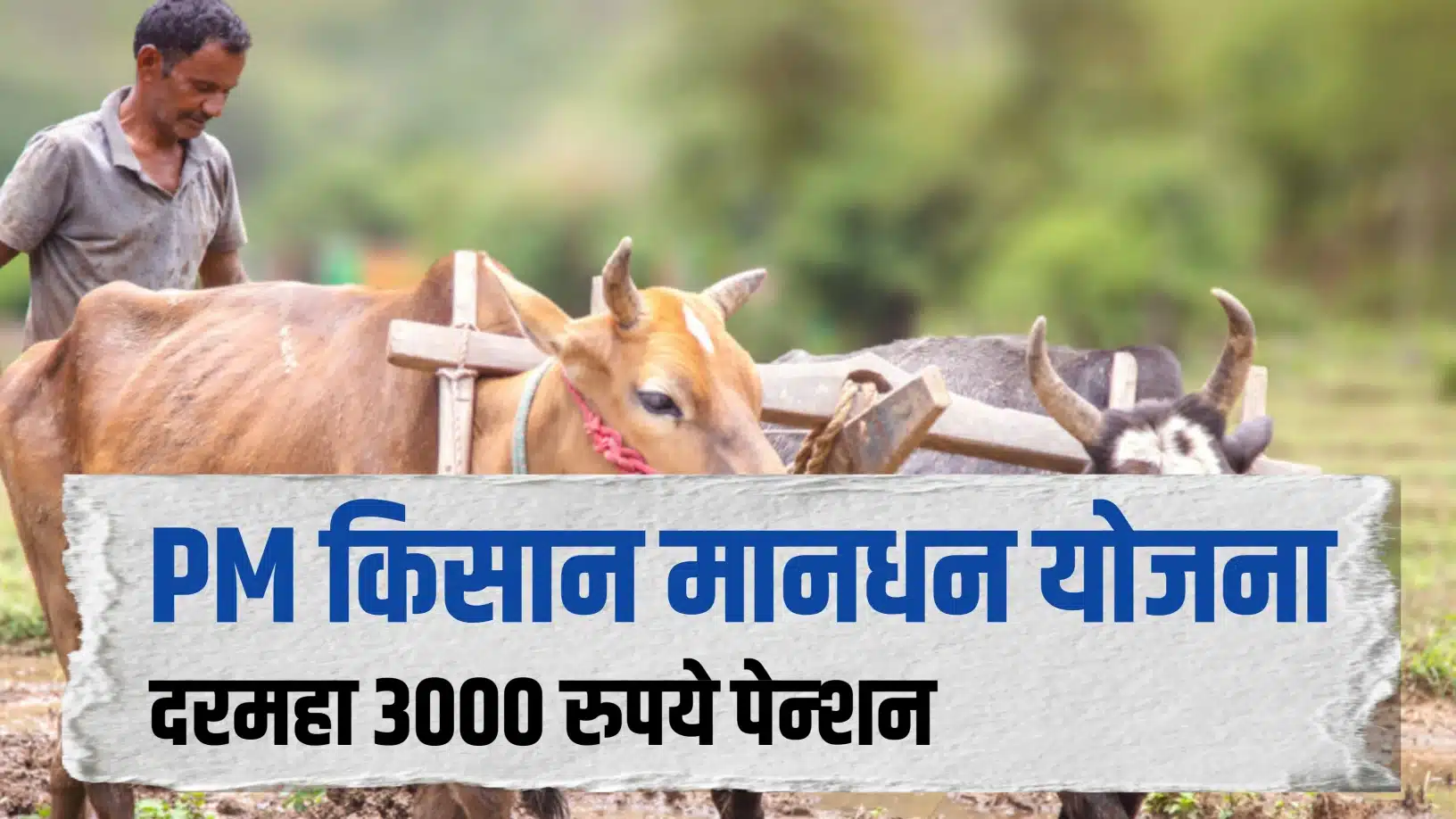 PM Kisan Mandhan Yojana 2026: शेतकऱ्यांसाठी दरमहा 3000 रुपये पेन्शन; जाणून घ्या संपूर्ण माहिती | New Yojana