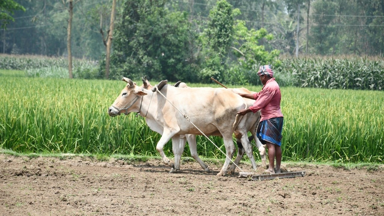 कर्जमाफी 2026, महाराष्ट्र कर्जमाफी, शेतकरी कर्जमाफी, karj mafi maharashtra, loan waiver news, agriculture news maharashtra, shetkari news, june 2026 update, farmer loan waiver india