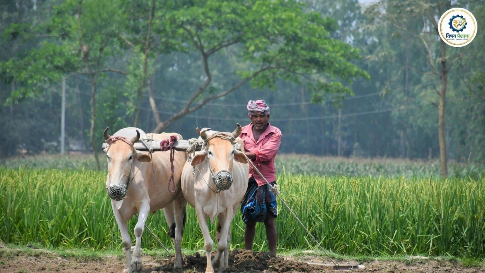 14.22 लाख शेतकऱ्यांचं कर्ज माफ