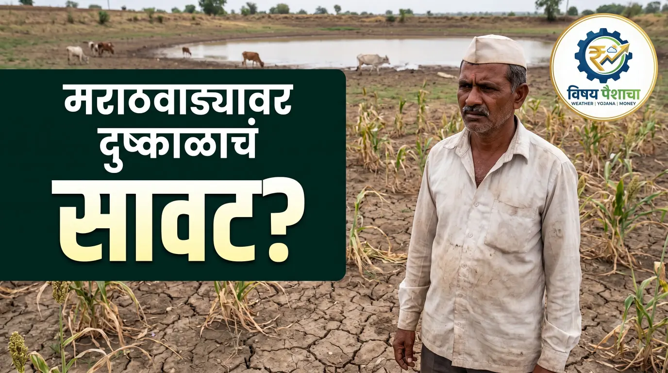 मराठवाडा दुष्काळ 2026: मराठवाड्यात पाणीटंचाईचं संकट? पाऊस कमी, धरणसाठ्यावर दबाव; शेतकऱ्यांची चिंता वाढली