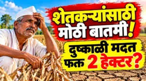 शेतकऱ्यांसाठी मोठी बातमी! दुष्काळ मदतीला 2 हेक्टरची मर्यादा; 3 हेक्टरचे पंचनामे का केले जात आहेत?