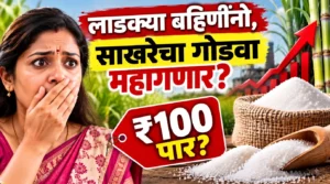 लाडक्या बहिणींनो, साखरेचा गोडवा महागणार? दर ₹100 पार जाण्याची शक्यता