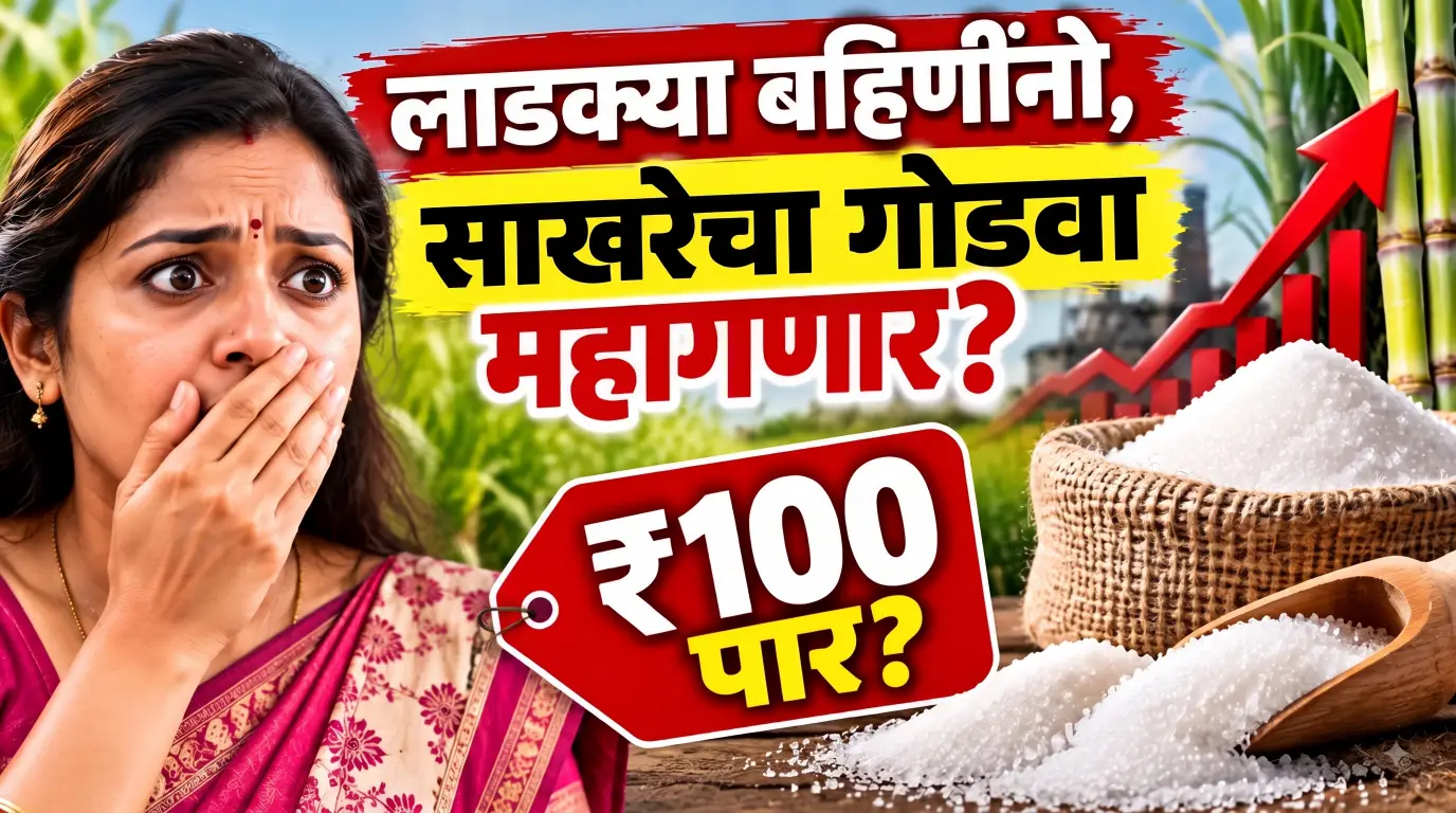 लाडक्या बहिणींनो, साखरेचा गोडवा महागणार? दर ₹100 पार जाण्याची शक्यता